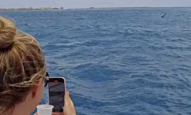 Disfruta de esta maravillosa excursion en barco con snorkeling en isla de sal cabo verde