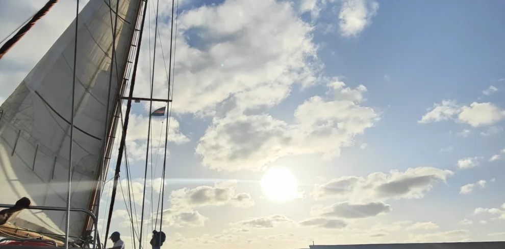 Disfruta de esta maravillosa excursion en barco con snorkeling en isla de sal cabo verde