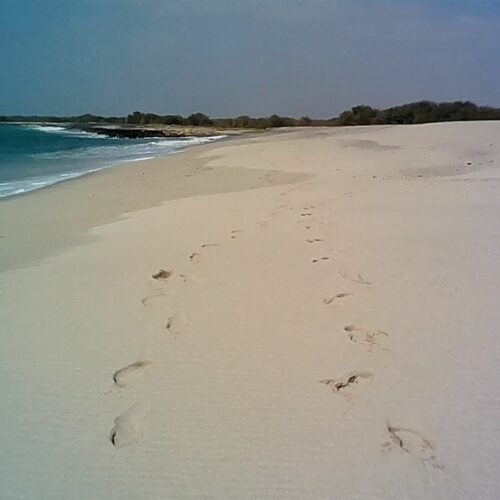 Excursión en Isla de Mayo tour vuelta a la isla día completo: playa de Maio en Cabo Verde